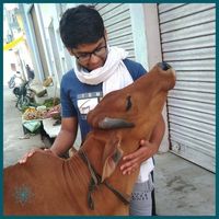 Mayank Gupta