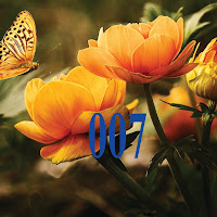 chatterjee enterprise